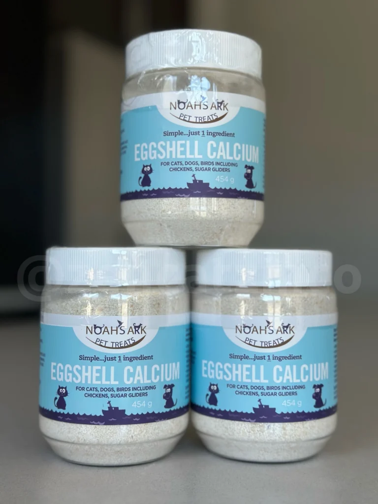 maine coon cat breeders in ontario