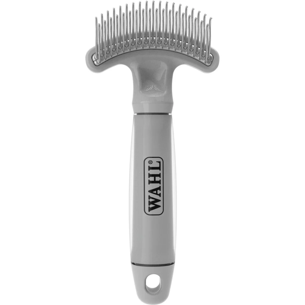 maine coon breeders ontario