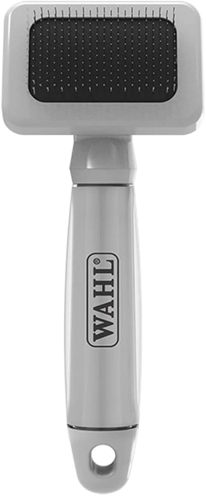 maine coon cat breeders in ontario